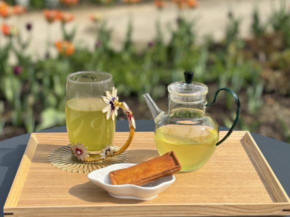ティーカフェ＆ガーデンで静岡県産のお茶と花のお茶を満喫！